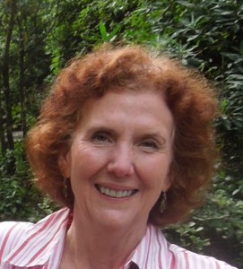 Sue Lynch, Chair/Treasurer