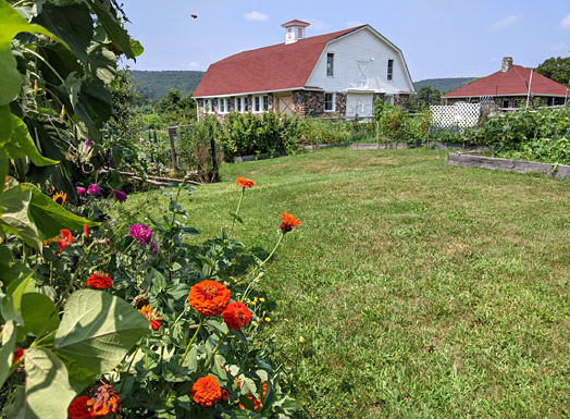 Wallisch Homestead Environment Statement